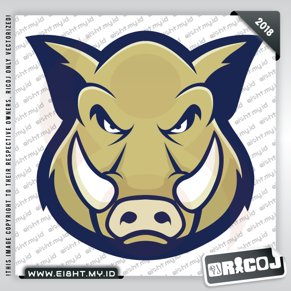 2018-06-30-Boar-Head-Mascot